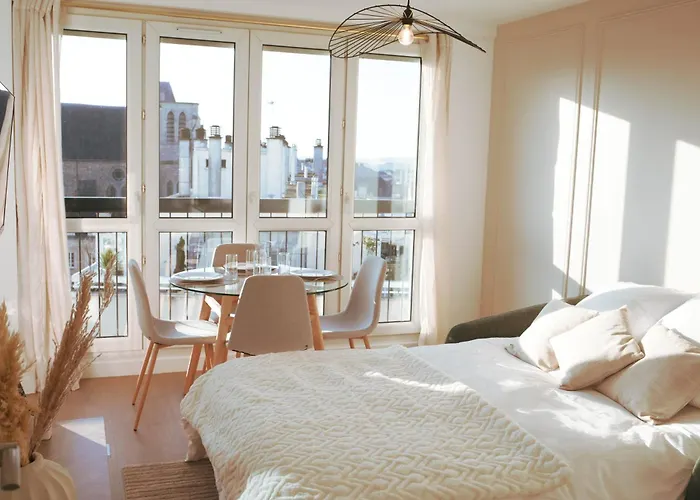 Cosy Avec Vue Degagee, Centre Du Mans