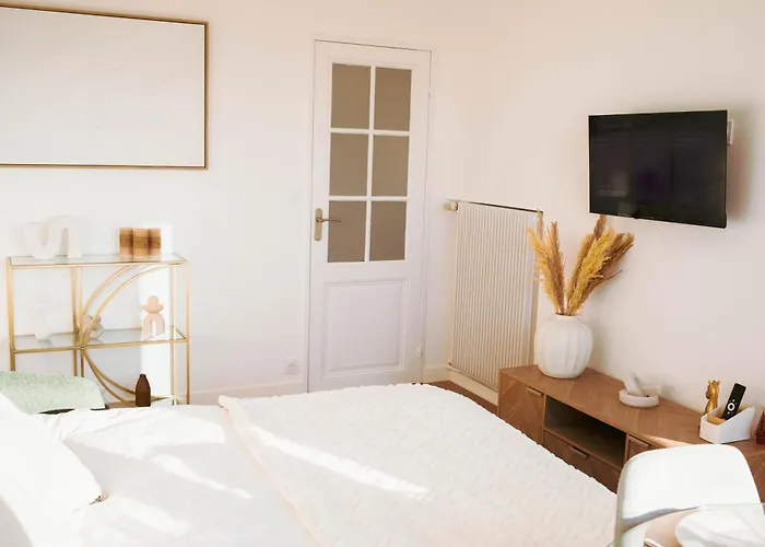 Apartment Cosy Avec Vue Degagee, Centre Du Mans